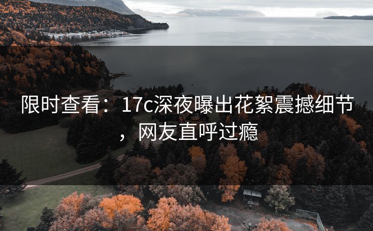 限时查看：17c深夜曝出花絮震撼细节，网友直呼过瘾