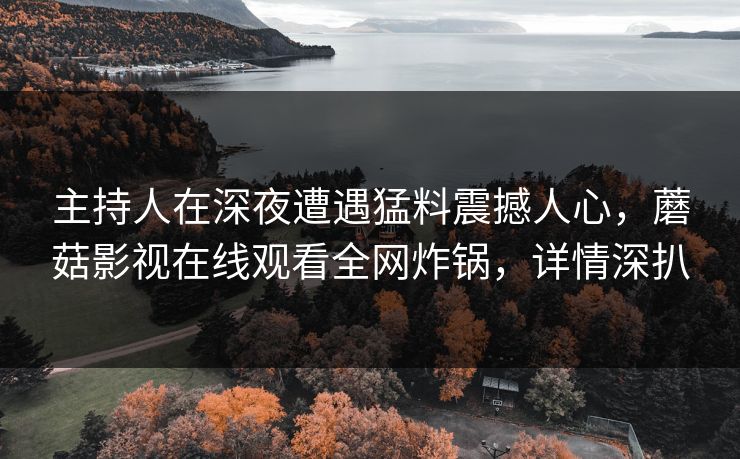 主持人在深夜遭遇猛料震撼人心,蘑菇影视在线观看全网炸锅,详情深扒 主持人在深夜遭遇猛料震撼人心,蘑菇影视在线观看全网炸锅,详情深扒